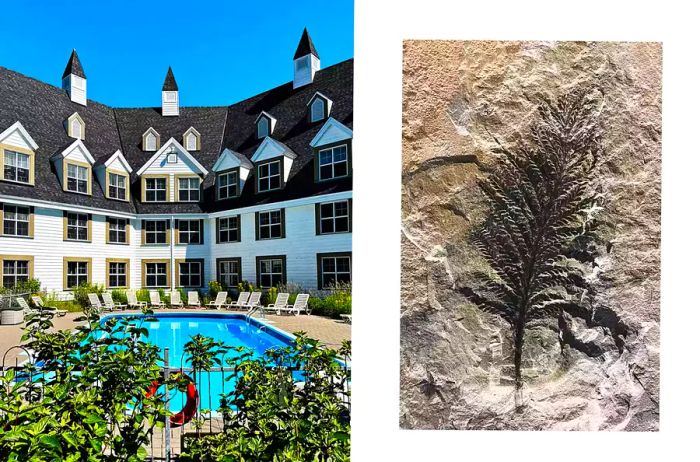 A pair of photos from Gaspé, Canada: one featuring a resort pool, and the other showcasing a fossilized fern.