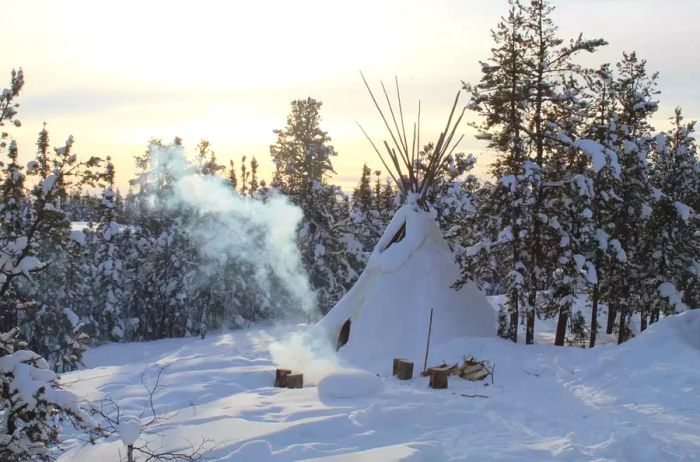 A snow-covered tent