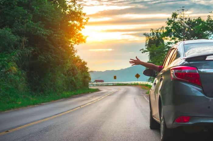 A cheerful woman waves from an open car window, set against a backdrop of meadows and mountains.