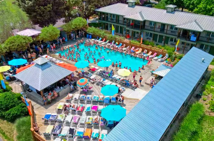 A pool at a resort.