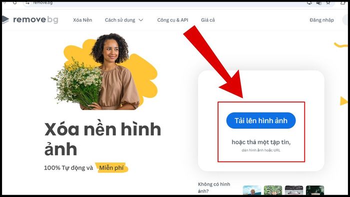 Hướng dẫn sử dụng Remove BG bước 2