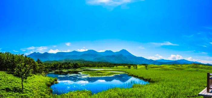 Shiretoko National Park is situated on the Shiretoko Peninsula in eastern Hokkaido.