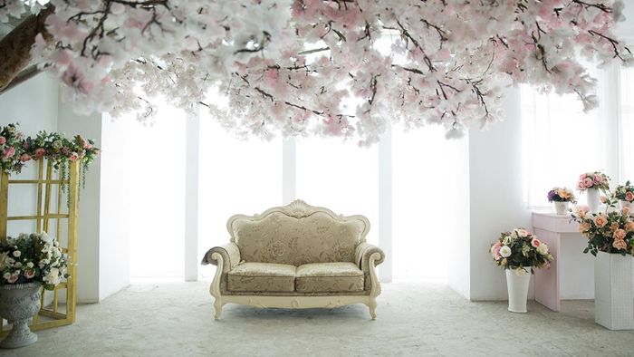 Mẫu nền background đơn giản và đẹp dành cho việc ghép ảnh