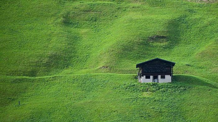 Mẫu background đồng cỏ đơn giản phù hợp cho thiết kế
