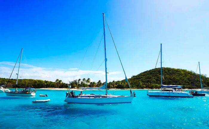 Tobago Cays, Saint Vincent, Caribbean