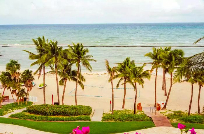 A scenic beach view framed by palm trees