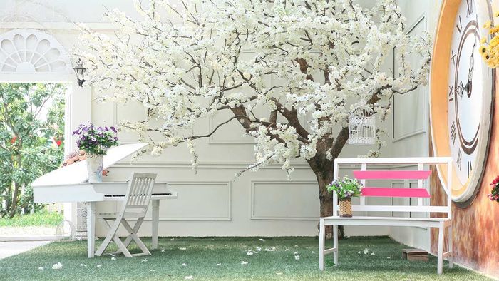 Mẫu background đẹp và đơn giản để sử dụng trong việc ghép ảnh