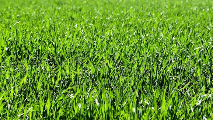 Tải về mẫu background đẹp và chất lượng cao