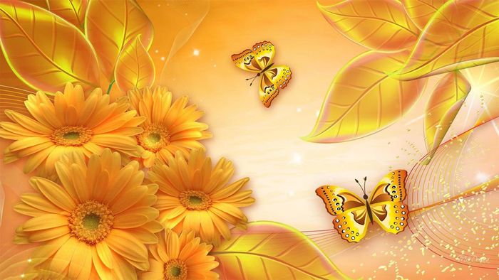 Mẫu background sang trọng nhất và đẹp mắt