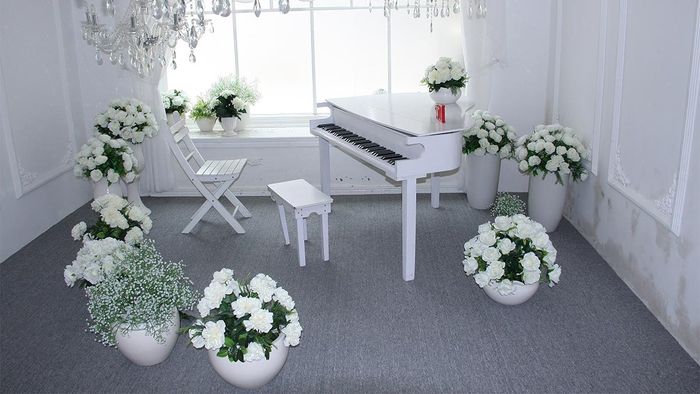 tải về mẫu background đẹp và đơn giản cho việc ghép ảnh