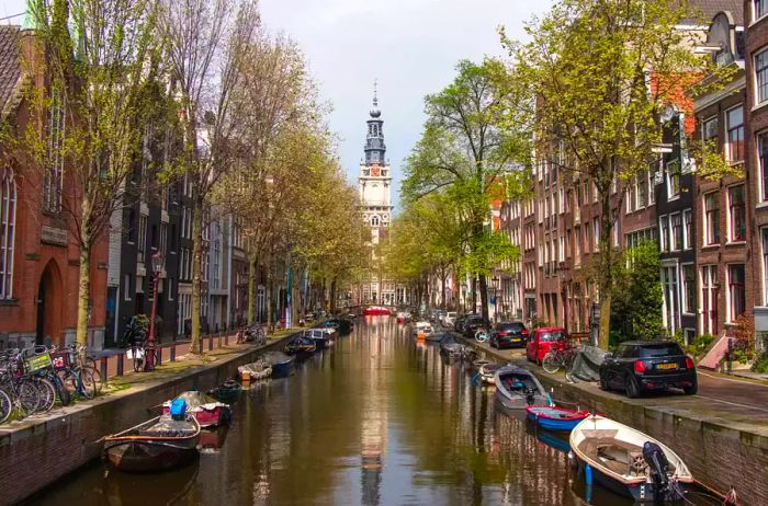 Springtime trees beginning to sprout green leaves along an Amsterdam canal