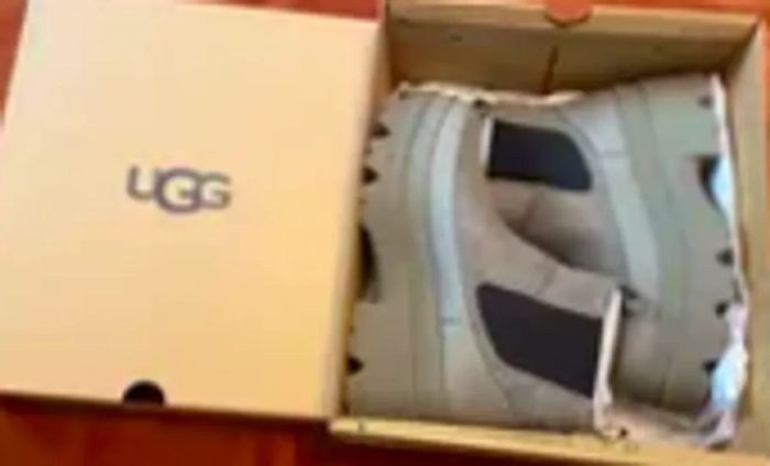 A pair of UGG Brisbane Waterproof Chelsea Boots nestled in their box