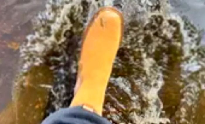 A person steps into a puddle while sporting the Sam Edelman Laguna Waterproof Chelsea Boot