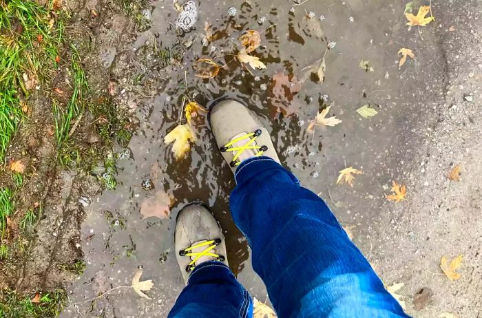 A person stands in a puddle wearing Bogs Women's Holly Lace Leather Boots