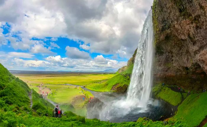 A waterfall embraced by vibrant greenery in Iceland