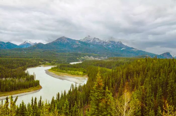 A river meandering through the mountains in Denali National Park