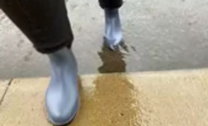 An individual in Asgard Chelsea Ankle Waterproof Rain Boots walks through water