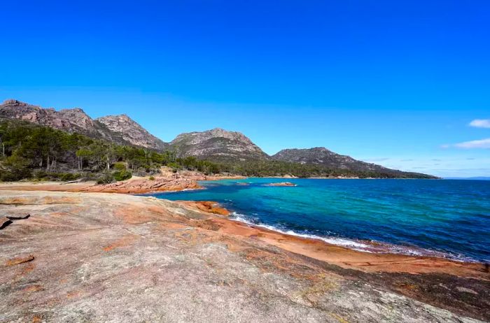 A hiking trail along the Tasmanian coast