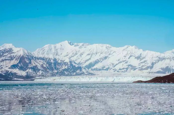 Snow and glaciers in Glacier Bay National Park