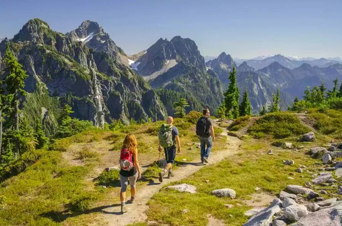 A view of hikers from behind in North Cascades National Park