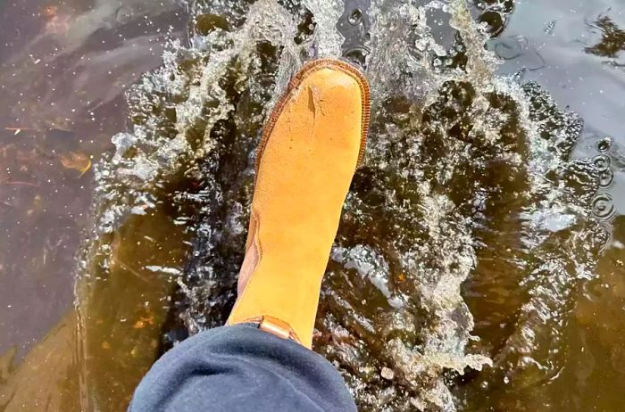 A foot enters a puddle while wearing a Sam Edelman Laguna Waterproof Chelsea Boot