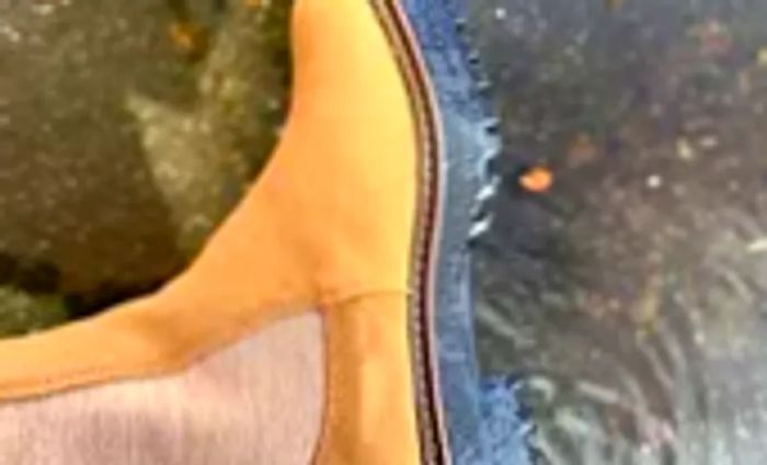 Detailed view of a Sam Edelman Laguna Waterproof Chelsea Boot