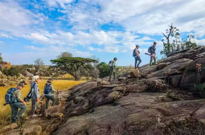 A group of travelers hikes through the Serengeti