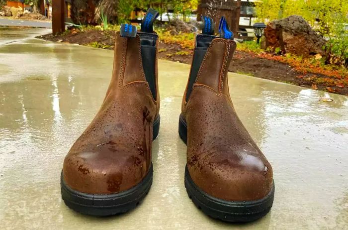 The Blundstone Men’s Thermal Waterproof Chelsea Boots are featured in the rain