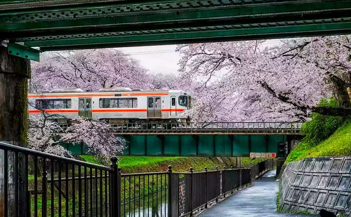 Transportation Systems in Japan