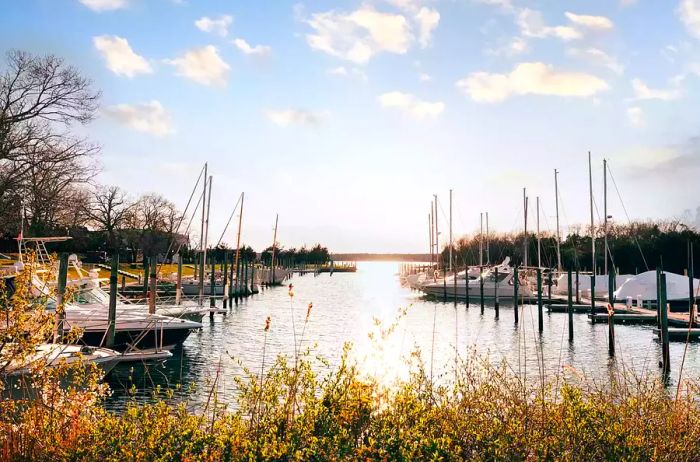 View of boats in the harbor at Sunset Harbor, EHP Resort & Marina