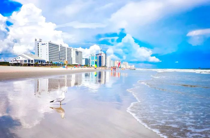 Reflective blues and whites at Myrtle Beach, South Carolina