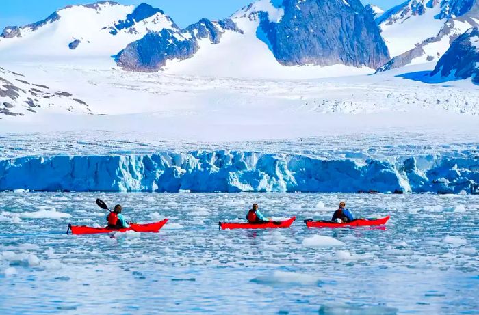 Kayakers navigating through ice along the glacier in Samarinbreen, Svalbard