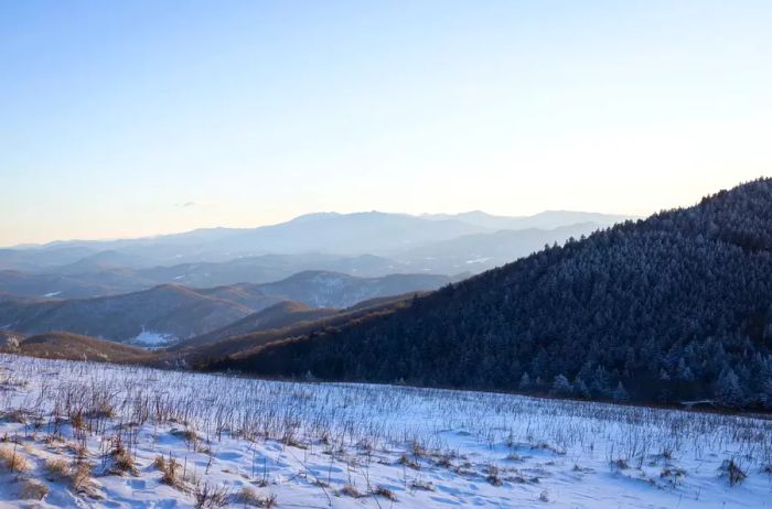 A chilly winter day along the snow-laden Appalachian Trail at Roan Mountain, straddling the North Carolina-Tennessee border.