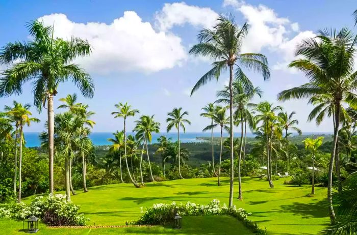 Scenic view of Coson Bay, Las Terrenas, Dominican Republic.