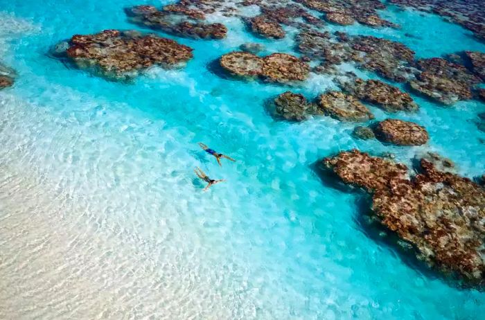 Two individuals enjoying a swim in the crystal-clear waters off the coast of The Brando luxury resort in French Polynesia.