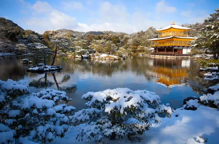 A serene pond bordered by snow-laden bushes in Kyoto, Japan