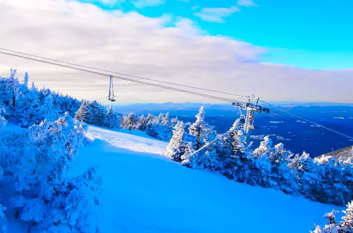 Situated on the slopes of Mount Cannon within the White Mountains National Forest in New Hampshire, United States.