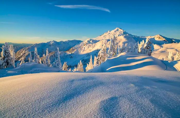 Mount Baker, Washington