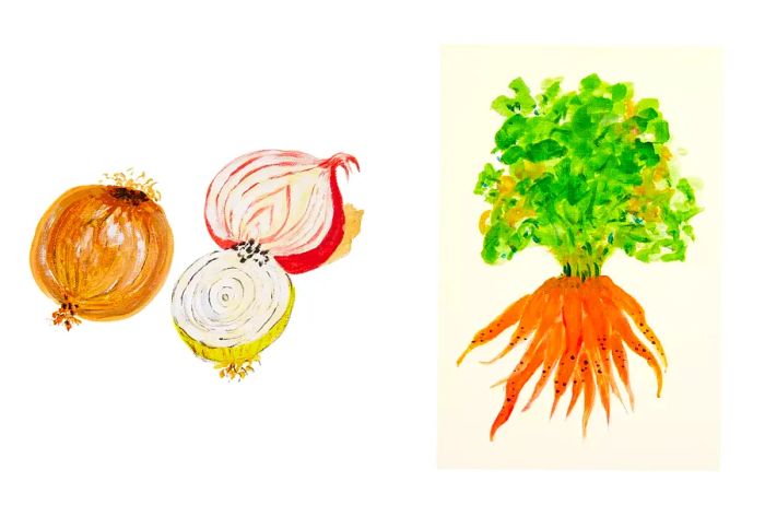 Drawings of onions and carrots by Jacques Pépin