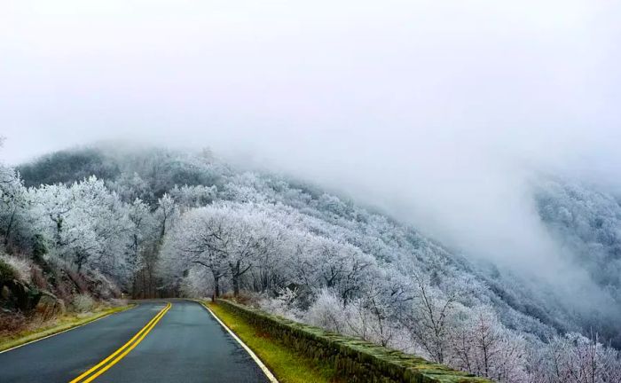 A road winding into a snowy, mist-shrouded forest