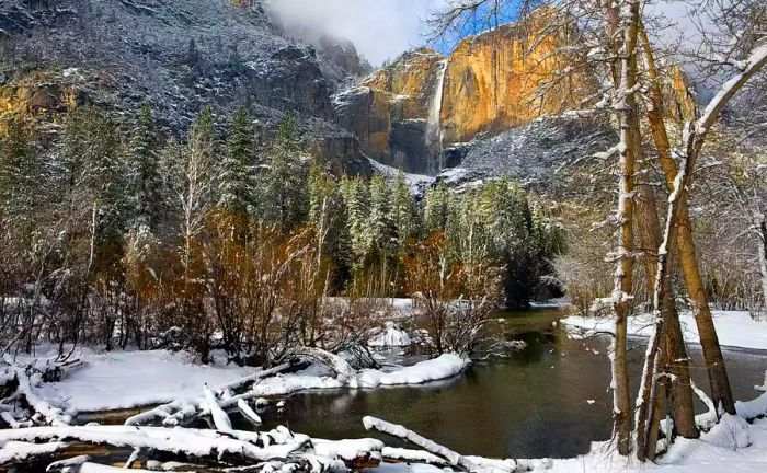 Snow blanketing Yosemite Valley