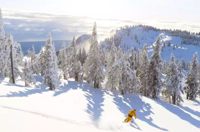 Person skiing on the frontside of Mount Washington Alpine Resort