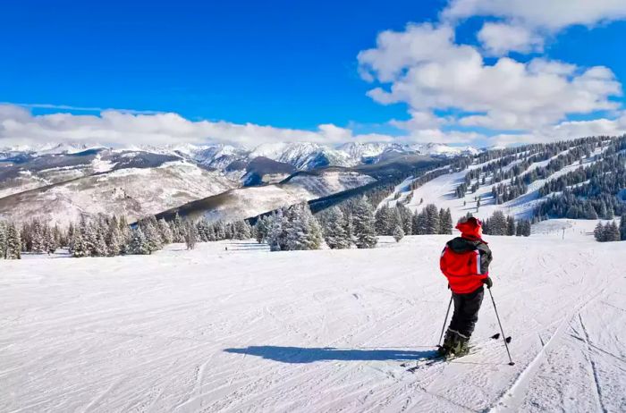 A snow-covered coniferous forest with ski slopes in the foreground and the Rocky Mountains in the background, captured in Vail, Colorado.