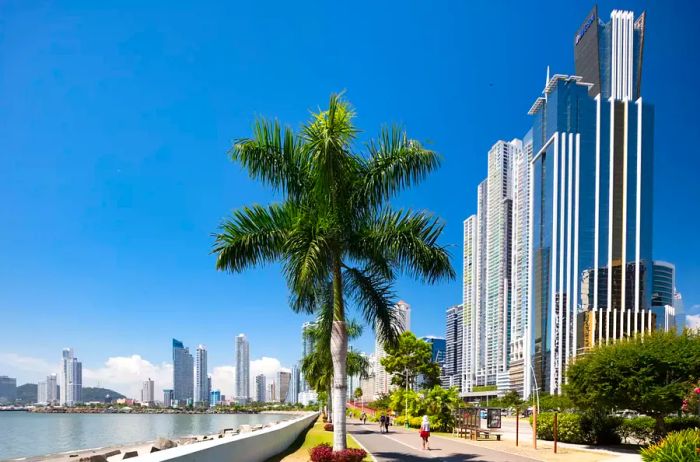 The scenic walkway along the vibrant Avenida Balboa in Panama City.