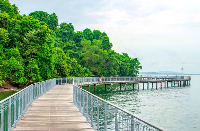 Located on the southeastern tip of Pulau Ubin island in Singapore, this area is both a cape and a 100-hectare wetlands sanctuary.