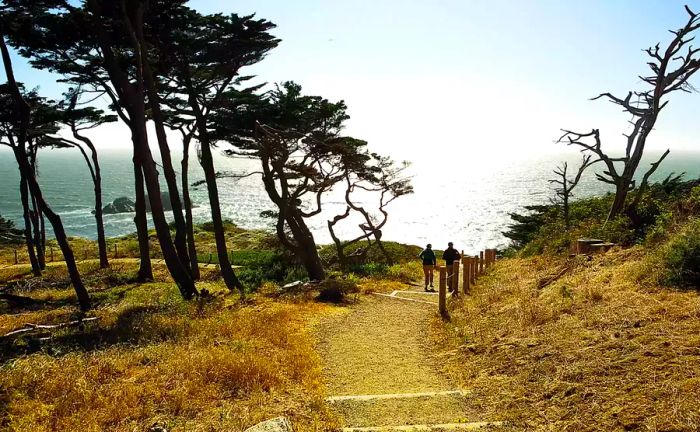 Exploring the Trails of San Francisco