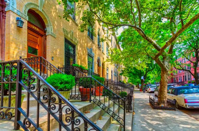 Tree-lined street featuring brownstones in NYC