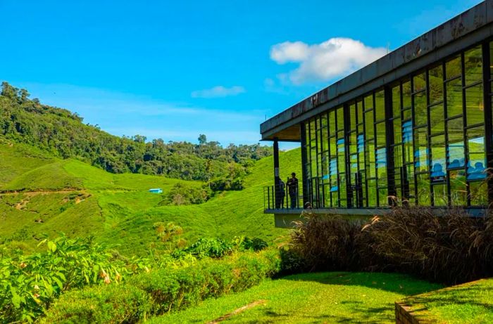 The BOH Tea Centre is a tea plantation situated in the Cameron Highlands.