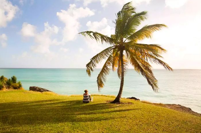 Woman relaxing beneath a palm tree