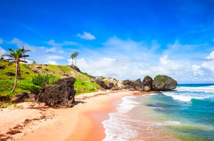 Known as the Soup Bowl for its frothy waves, this is the premier surfing destination in Barbados and regularly hosts both local and international competitions.